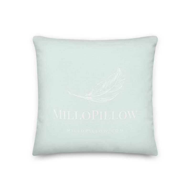 Julep Stripe Pillow - Image 3