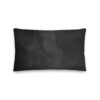 all-over-print-premium-pillow-20x12-front-64b0915d0469b.jpg