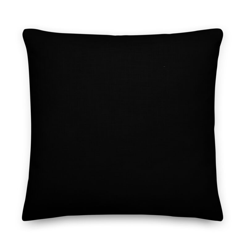 Chinese Coal Pillow